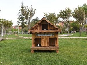 Malatya Büyükşehir Belediyesinden Sokak Kedilerine Barınak