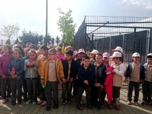 Geçici Bakımevini Ziyaret Eden Öğrencilere Hayvan Sevgisi Aşılanıyor