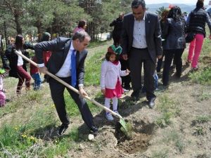 Sungurlu MYO Kampüs Alanına Fidan Diktiler