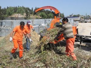 Yenişehir’de Budanan Dallar Geri Dönüşüme Kazandırılıyor