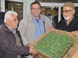 Ziraat Odası Çiftçilere 500 Bin Fide Dağıttı