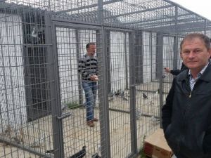 Güvercinlere Yeni Barınma Alanı