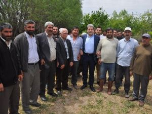 Yaşar: “AK Parti Memleket Partisi”