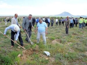 Yağmur Duasının Ardından Fidan Dikimi