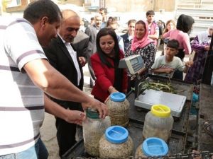 Silopi’de Köy Ürünleri Pazarı Kuruldu