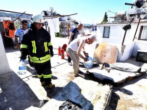 Bodrum’da Çıkan Yangın Paniğe Neden Oldu