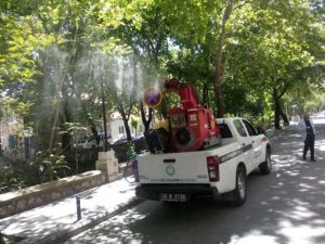 Büyükşehir’den Haşereyle Mücadele