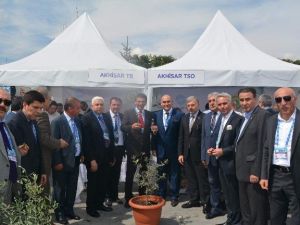 Akhisar Zeytini Ankara’da Büyük İlgi Gördü
