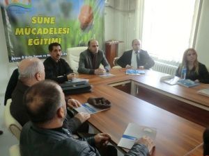 Süne Mücadelesi Eğitimi