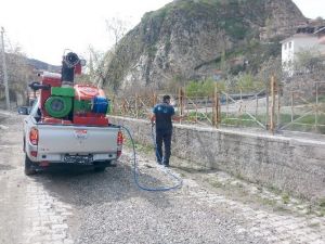 İskilip’te Haşere İle Mücadele Çalışmaları Start Aldı