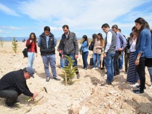 İstiklal Yerleşkesine 1920 Lavanta Dikildi