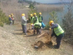 Pazarlar Göleti’nin Çevresi Ağaçlandırıldı