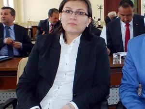 Aynur Koçuk Mercan, Birliğin İlk Bayan Encümen Üyesi