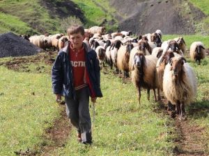 Göçerler, Farşin, Kato Ve Herekol Yolunda