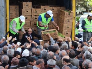 Kayseri’de 500 Bin Domates Fidesi Ve 1 Ton Gübre Dağıtıldı