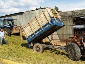 Hayvancılığın Olmazsa Olmazı “Arpa Silajı”