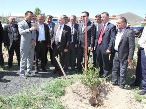 Vali Ceylan, Kuyutatlar Köyünde Köylülerle Fidan Dikti