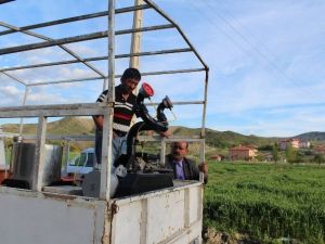 Sungurlu’da İlaçlama Çalışmaları Devam Ediyor