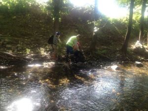 Derelerde Temizlik Çalışmaları Devam Ediyor