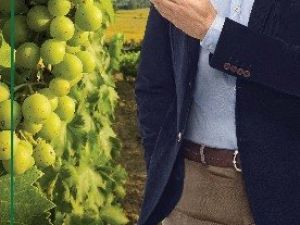 Tarsim’den Şoray Uzun’lu Kampanya