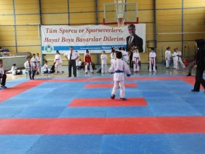 Akyazı Belediyesi Spor Şenlikleri Karate Turnuvası İle Devam Ediyor
