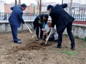 Çaldıran Kaymakamlığı Tarafından Fidan Dikimi Gerçekleştirildi