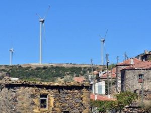 Bodrum’da Res Tepkisi Sürüyor