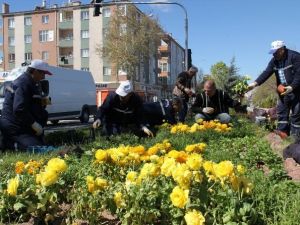 Yeşil Alanlar Yaz Dönemine Hazırlanıyor