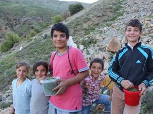 Kekik Satarak Okul Harçlıklarını Çıkarıyorlar