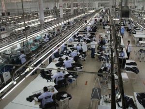 Piserro Büyümeye Devam Ediyor