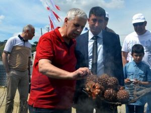 Altın Değerindeki Künarın Zorlu Yolculuğu