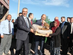 Niğde’de Çilek Dikimi Başladı