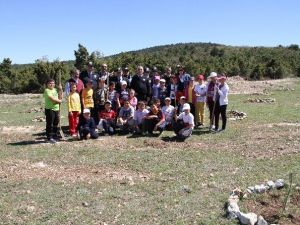 Bozüyük’te Karayolu Trafik Güvenliği Haftası Etkinlikleri