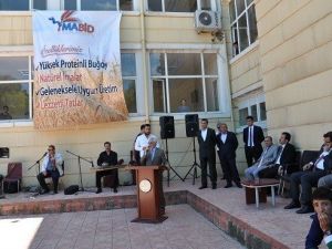 Mardin’de 4. Bulgur Pilavı Festivali Yapıldı