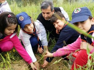 Minik Ellerden Büyük İşler