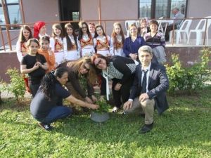 Kocaeli’de Hıdırellez Kutlamaları Coşku İle Başladı