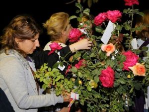 Mezitli’de Hıdrellez Coşkusu