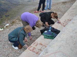 Gelibolulular, Hıdrellez İçin Sahile Koştu