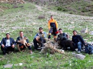 Dağda Mahsur Kalan Keçiler, AFAD Ekipleri Tarafından Kurtarıldı