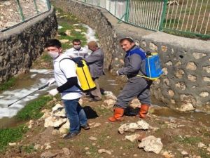 Kurtalan’da Sivrisinek İle Mücadele