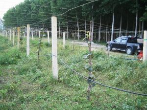 Bireysel Sulama Makine Ve Ekipmanlarına Yüzde 50 Hibe Desteği