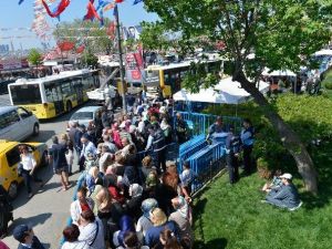 Üsküdar’da Mor Salkım Erguvan Ve Mimoza Şenliği