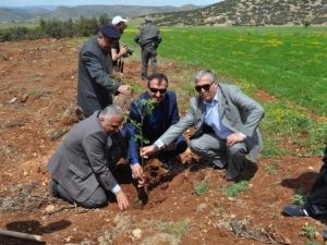 Korkuteli Bölge Trafik İstasyon Amirliğinden Hatıra Ormanı