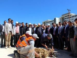 Kilis Belediyesi’nin Mahallelerde Başlattığı Seferberlik Sürüyor