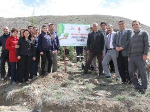 Erzincan’da “Bir Kan, Bir Fidan” Projesi İle 14 Bin 500 Çam Fidanı Dikildi