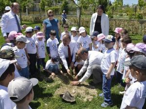 Başkan Gürlesin, Minik Öğrencilerle Fidan Dikti