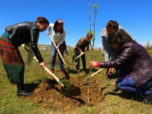 Edremit’te Fidan Dikimi