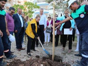 Mezitli’ye Özel Bir Koruluk Daha Yapıldı