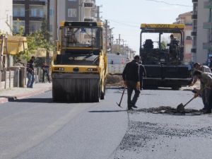 Selçuk Mahallesinde Asfaltlama Çalışması
