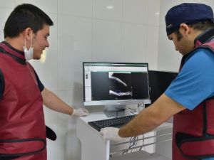 Konyaaltı’nda Sokak Hayvanları İçin Laboratuvar